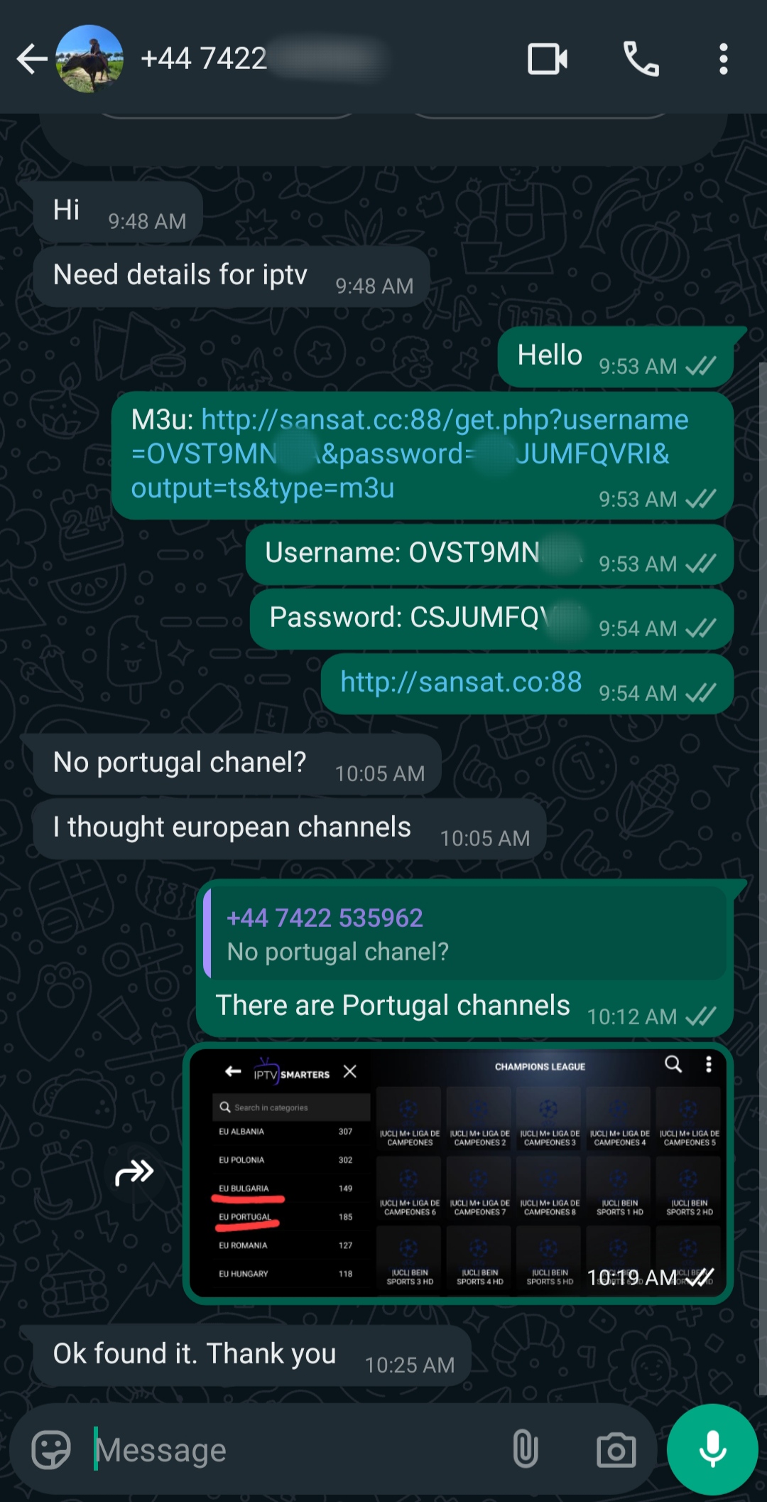 A WhatsApp chat shows a user requesting IPTV details. Another replies with a link, username, and password. They discuss channel availability, confirming that both Portugal and Argentina IPTV channels are included, with a screenshot of the channel list.